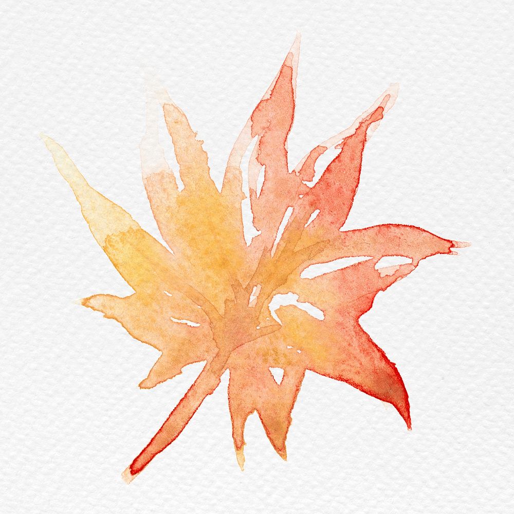 Maple leaf autumn watercolor in orange seasonal graphic