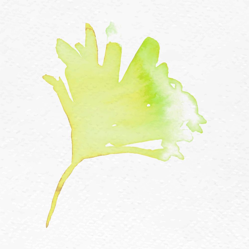 Gingko leaf autumn watercolor vector in green seasonal graphic