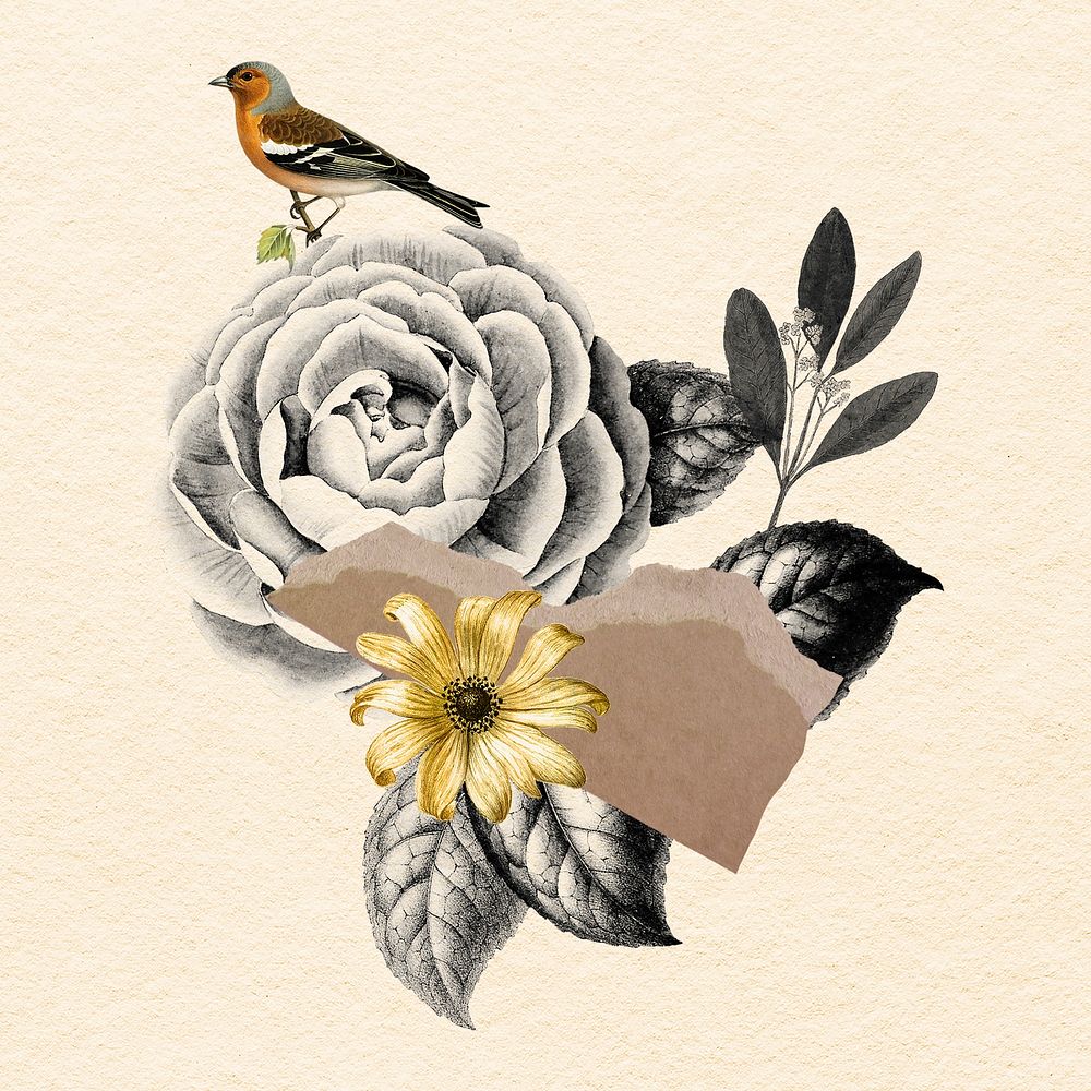 Collage bird and flower vintage illustration, printable collage mixed media art