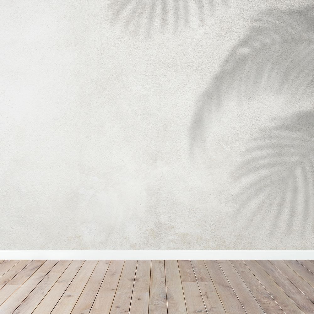 Empty room with gray wall and tropical leave shadow
