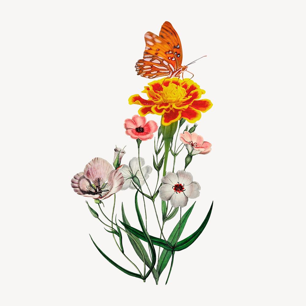 Vintage flower collage element, aesthetic butterfly design