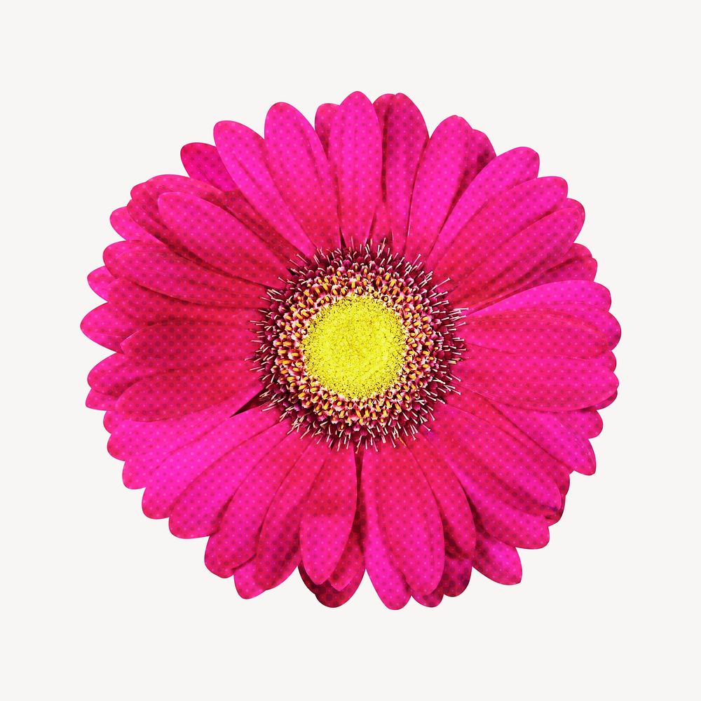 Daisy collage element, hot pink design psd