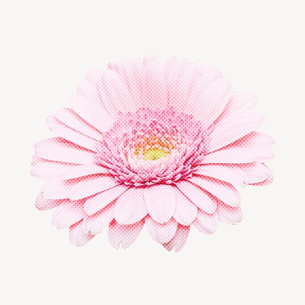 Daisy collage element, pink design