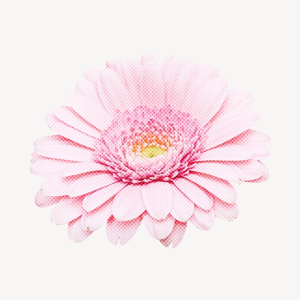 Daisy collage element, pink design psd