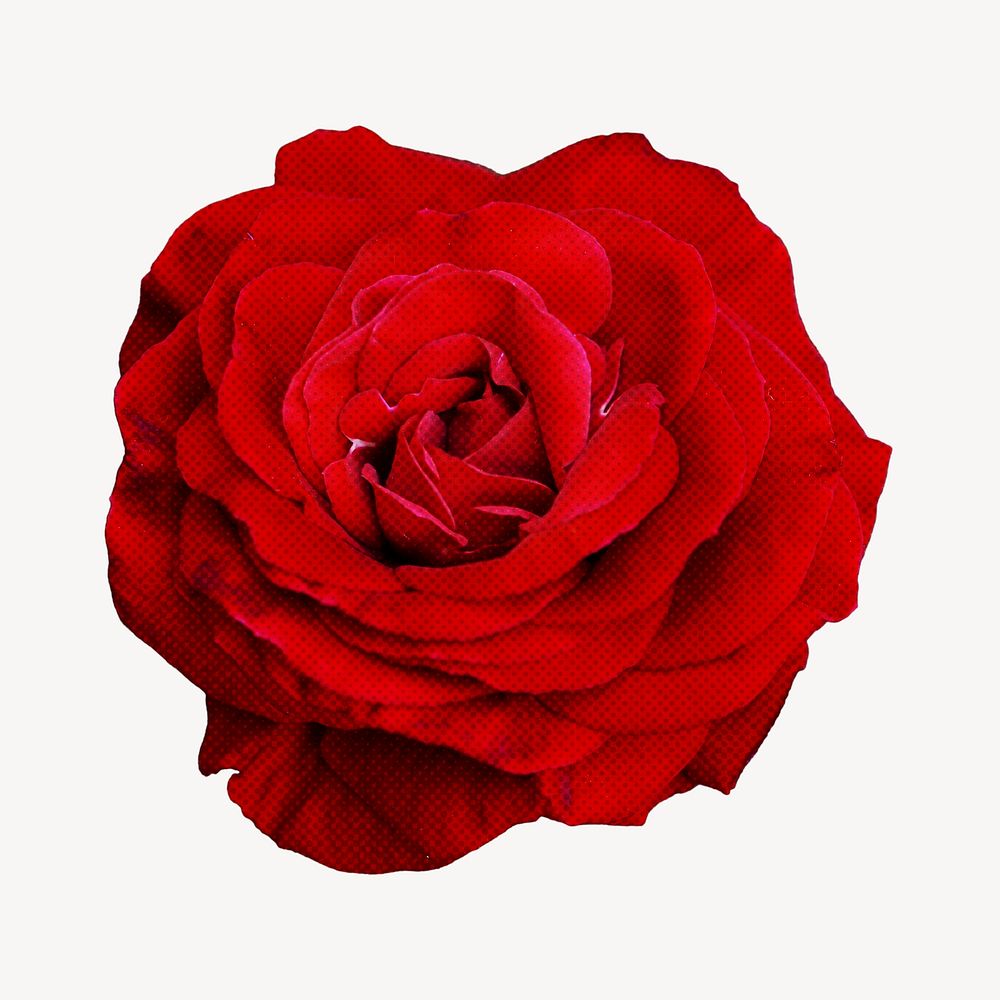 Rose collage element, red design psd