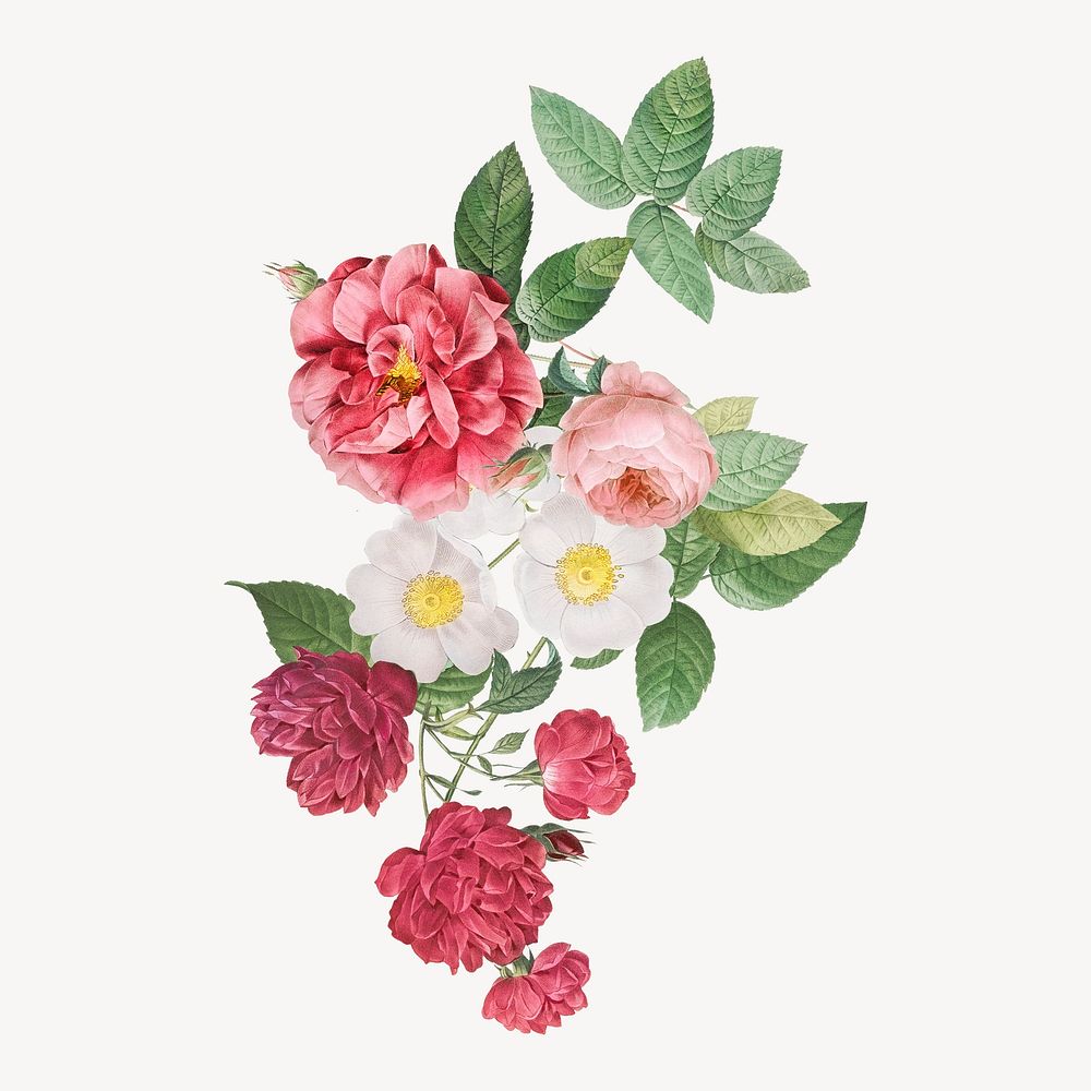Aesthetic flowers collage element, vintage design