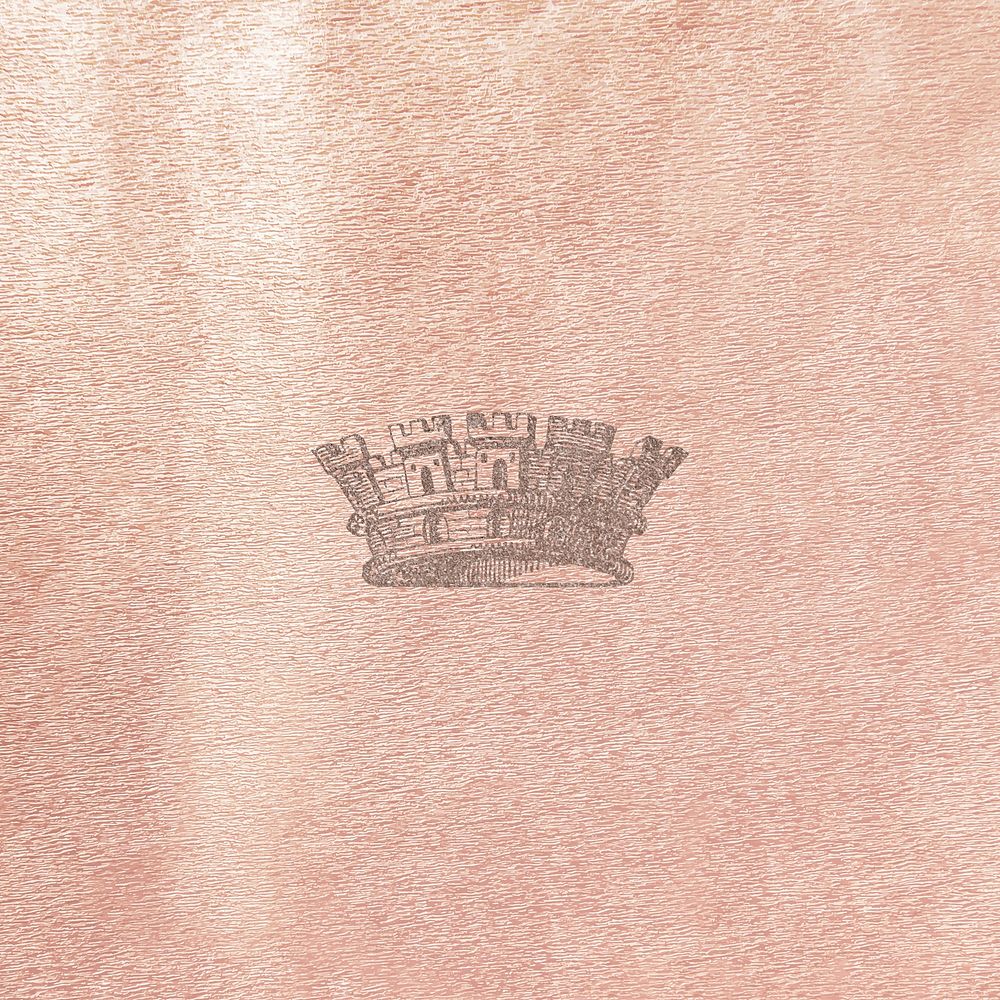 Vintage gray crown on a pink background vector