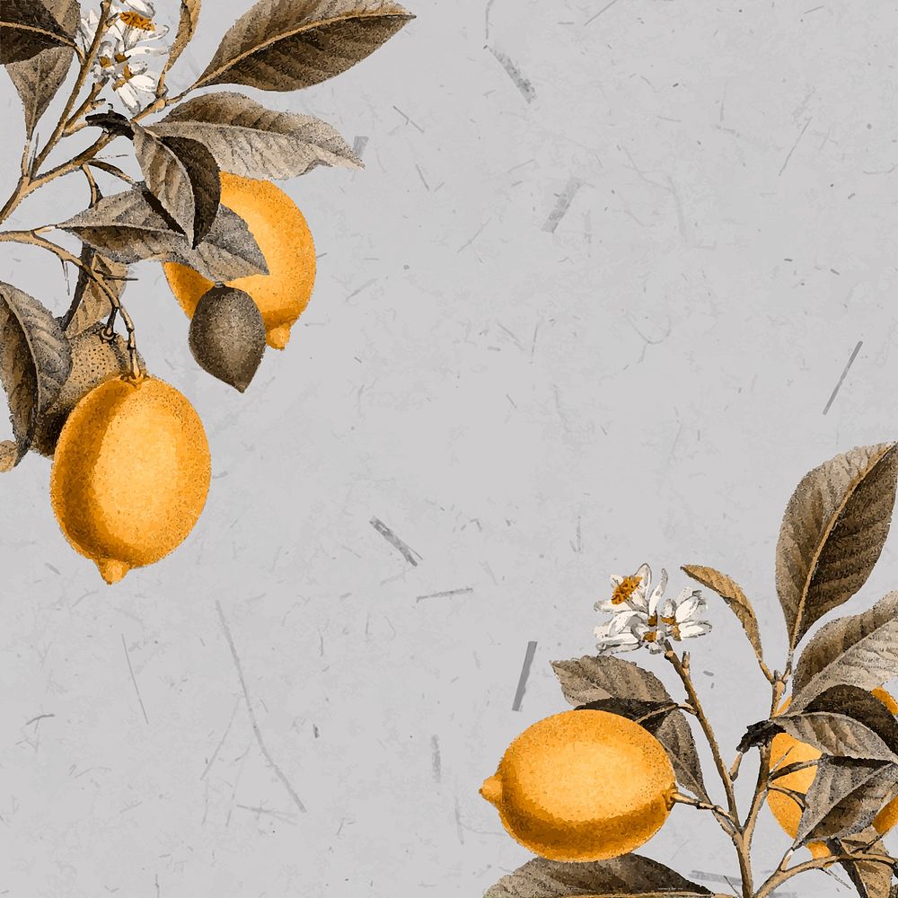 Tropical lemon on a gray background vector