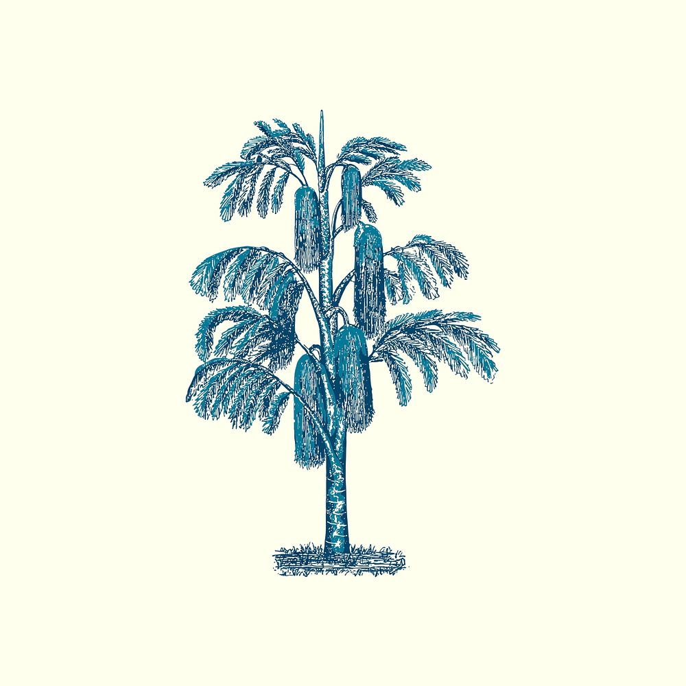 Blue tropical tree vector hand drawn illustration