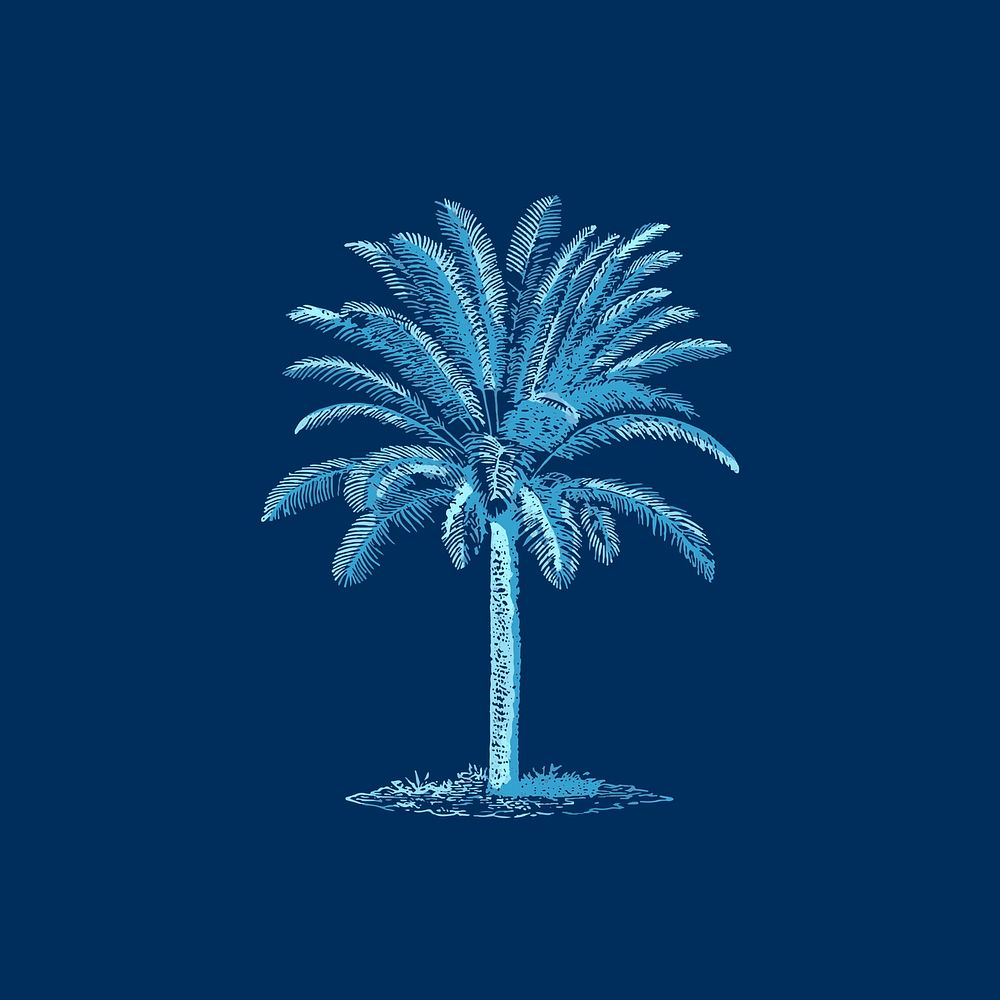 Blue palm tree vector hand drawn illustration