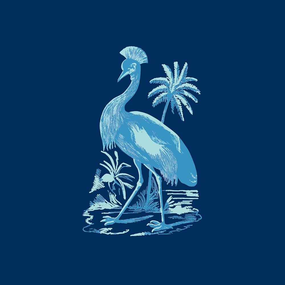Blue crowned crane vector hand drawn illustration