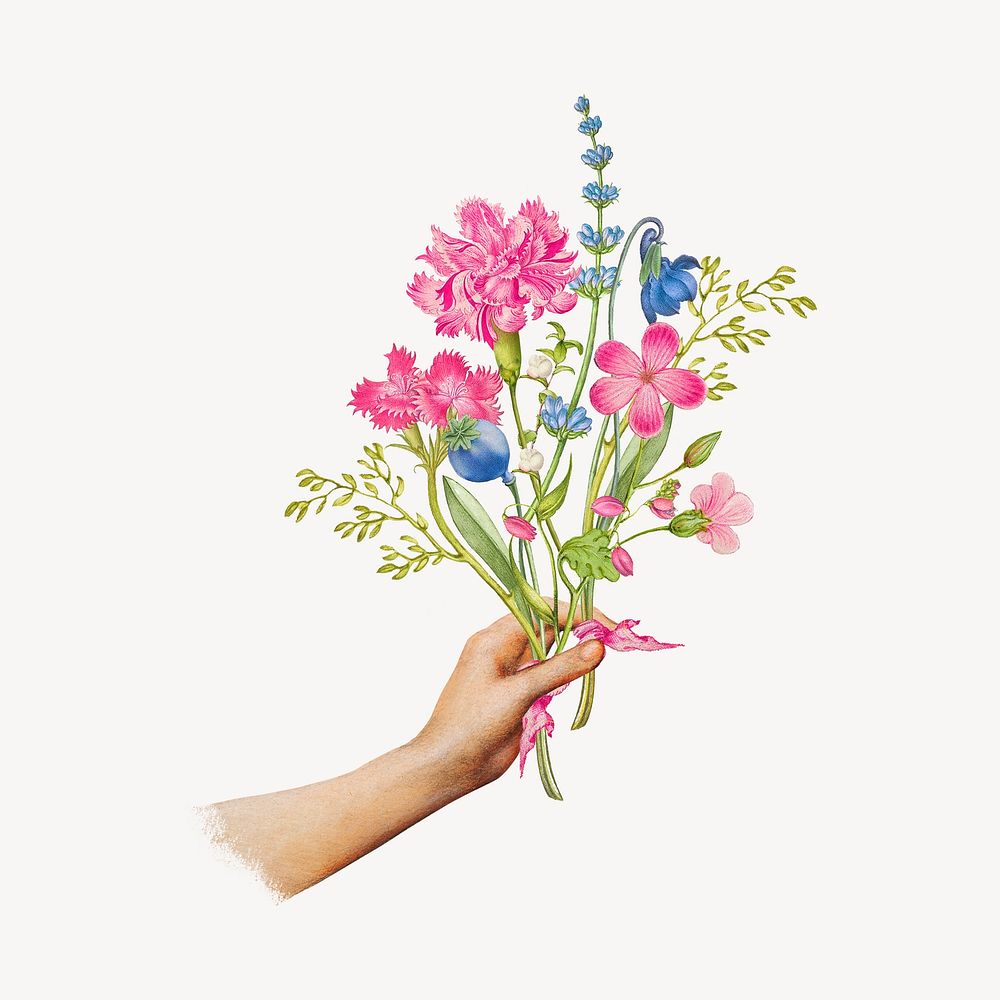 Hand holding flower bouquet, vintage illustration vector