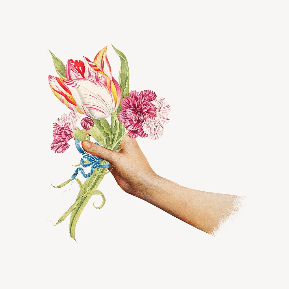 Hand holding flower bouquet, vintage illustration vector