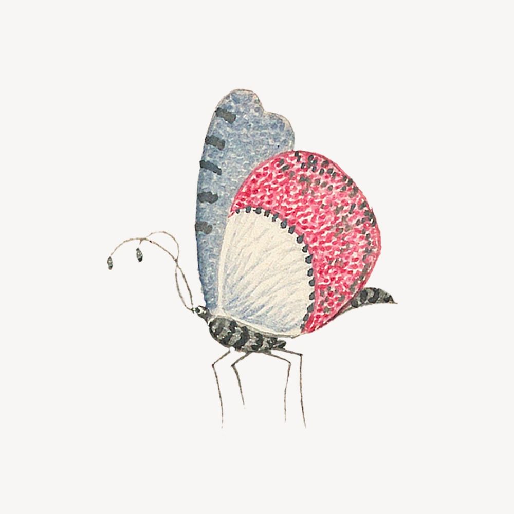 Vintage butterfly sticker, aesthetic animal illustration psd