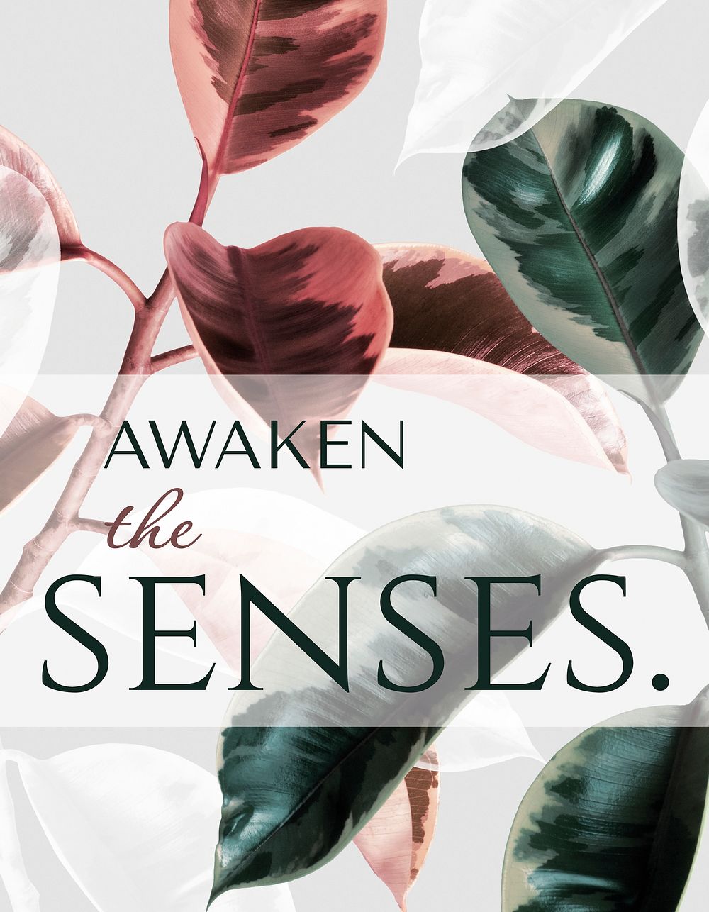 Leaf aesthetic flyer template, awaken the senses quote vector