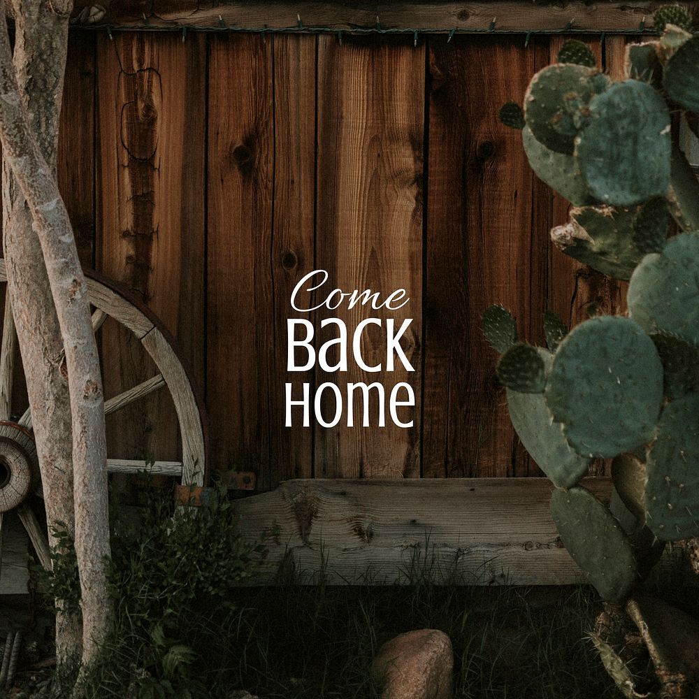 Cactus aesthetic Instagram post template, come back home quote vector