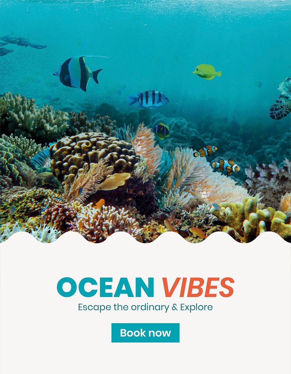 Ocean adventures flyer template,  summer travel psd