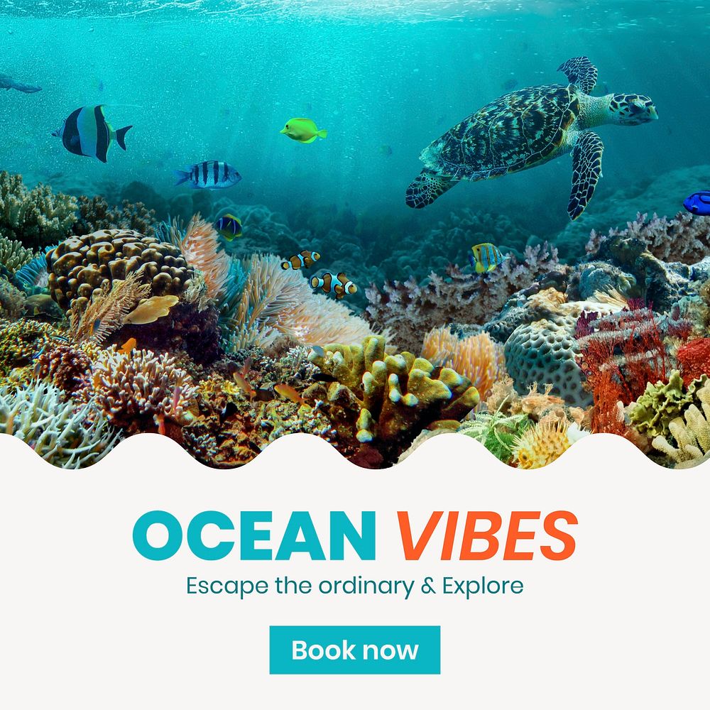 Ocean adventures Instagram post template,  summer travel vector