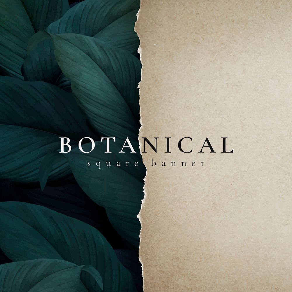 Botanical leafy banner and brown paper vector