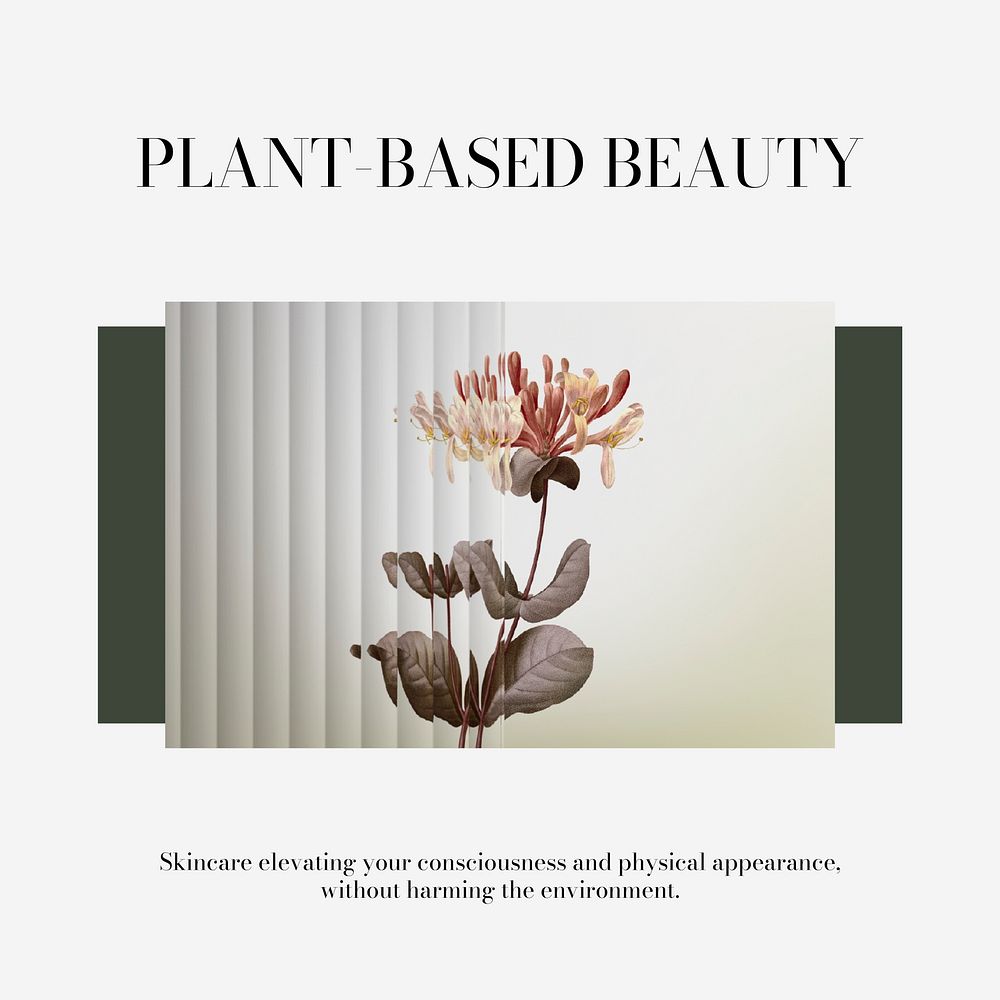 Plant aesthetic Instagram post template vector