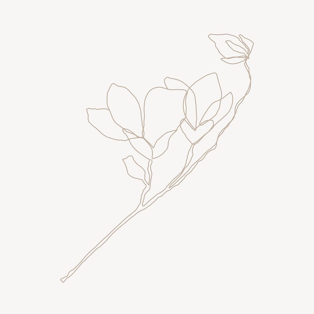 Magnolia flower line art illustration vector