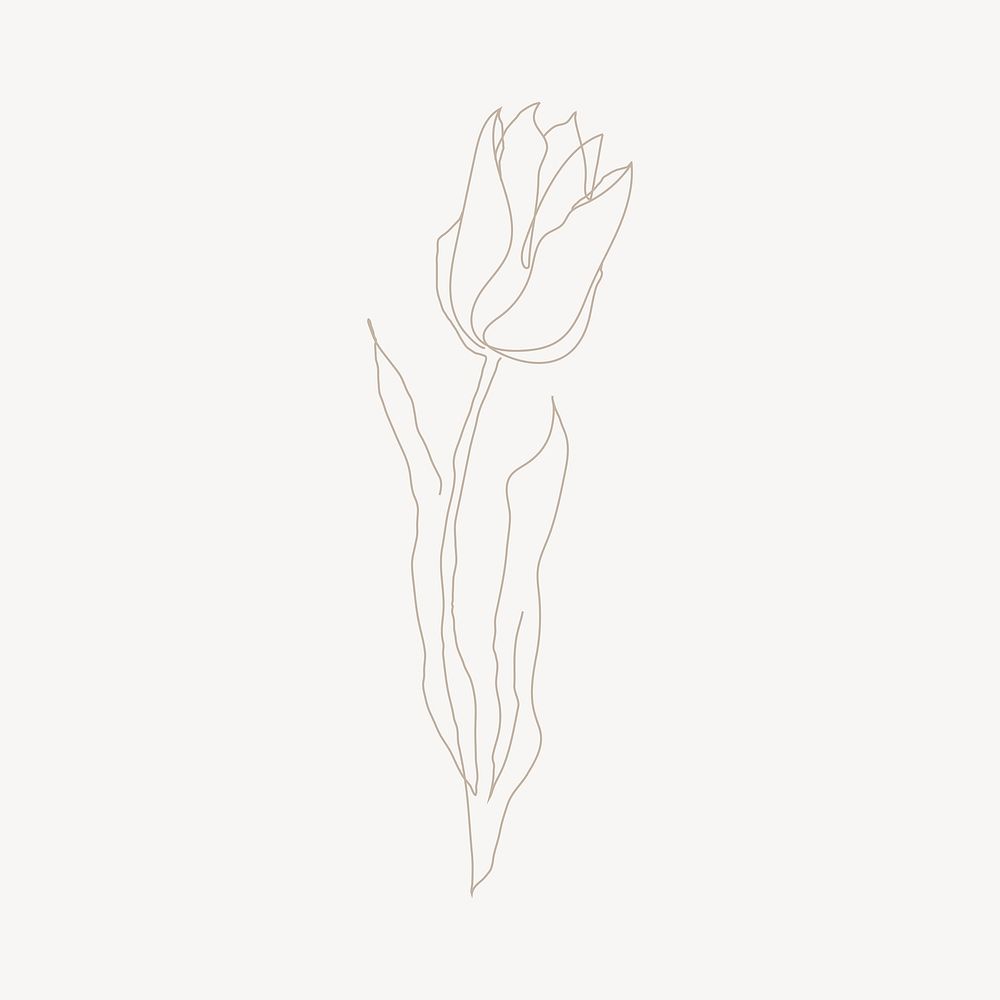 Tulip flower line art illustration vector