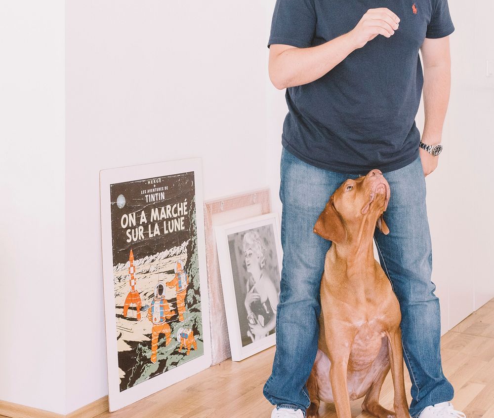 Man in jeans and navy t shirt standing in white room with brown dog and artwork. Original public domain image from Wikimedia…
