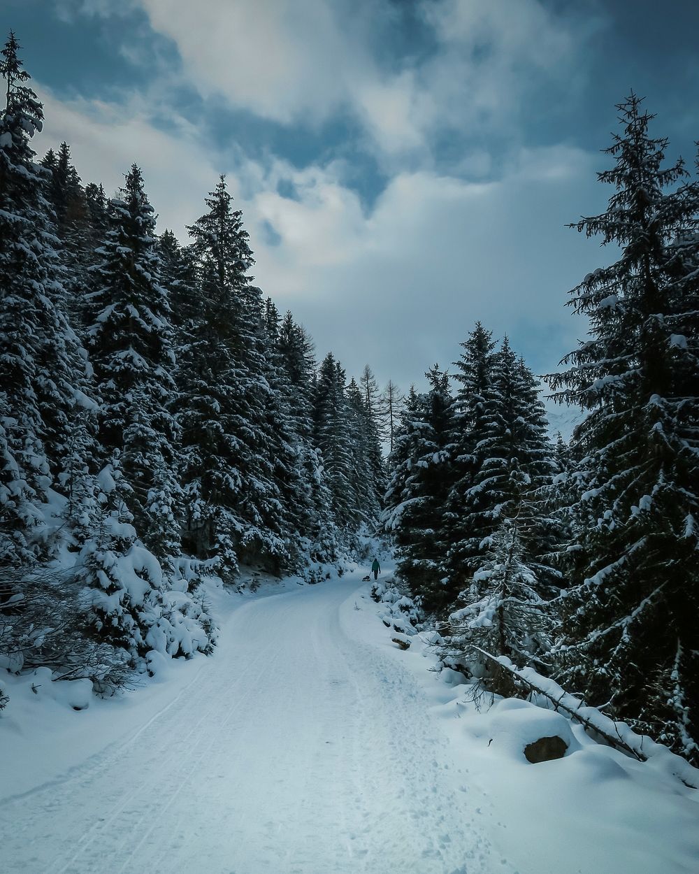 A distant shot of a person walking on a snowy trail through a forest. Original public domain image from Wikimedia Commons