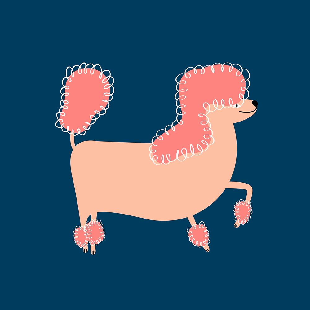 Cute poodle dog animal graphic on blue background