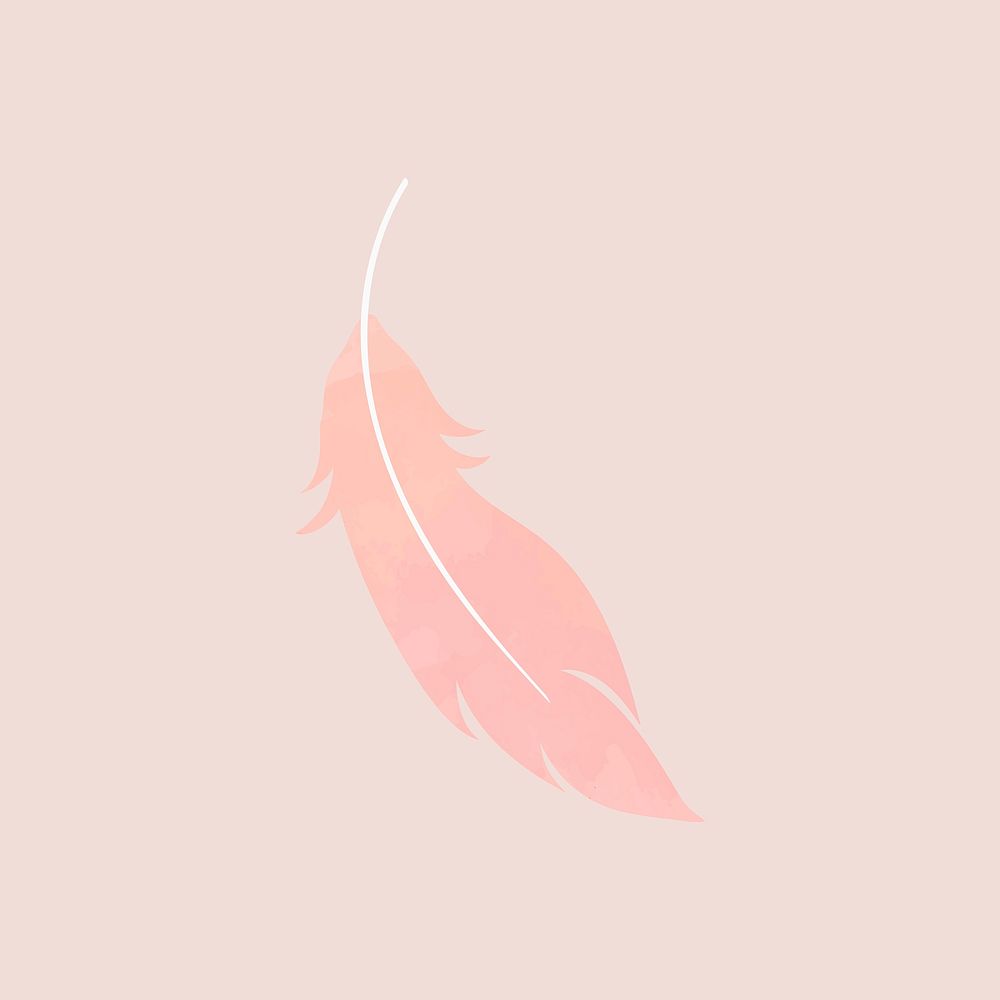 Single pink lightweight feather vector