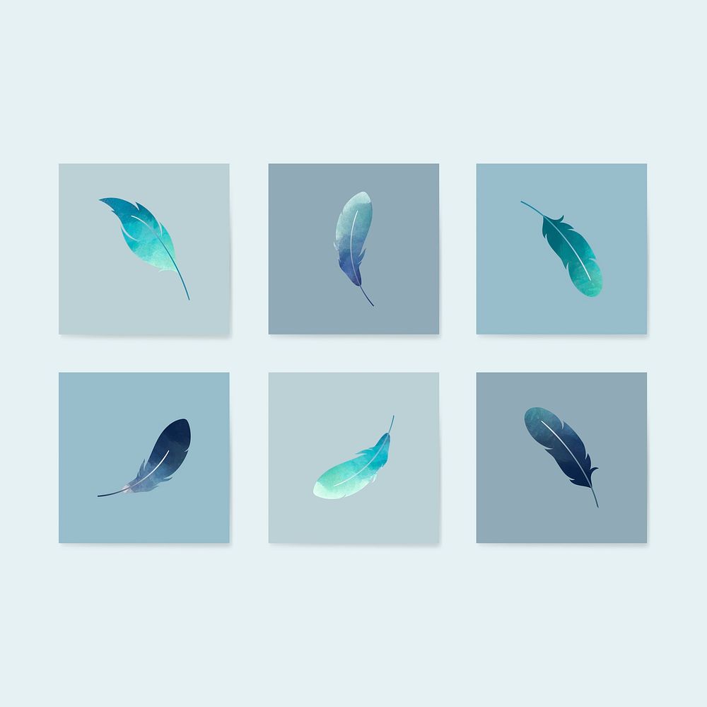Blue lightweight feather collection vectors
