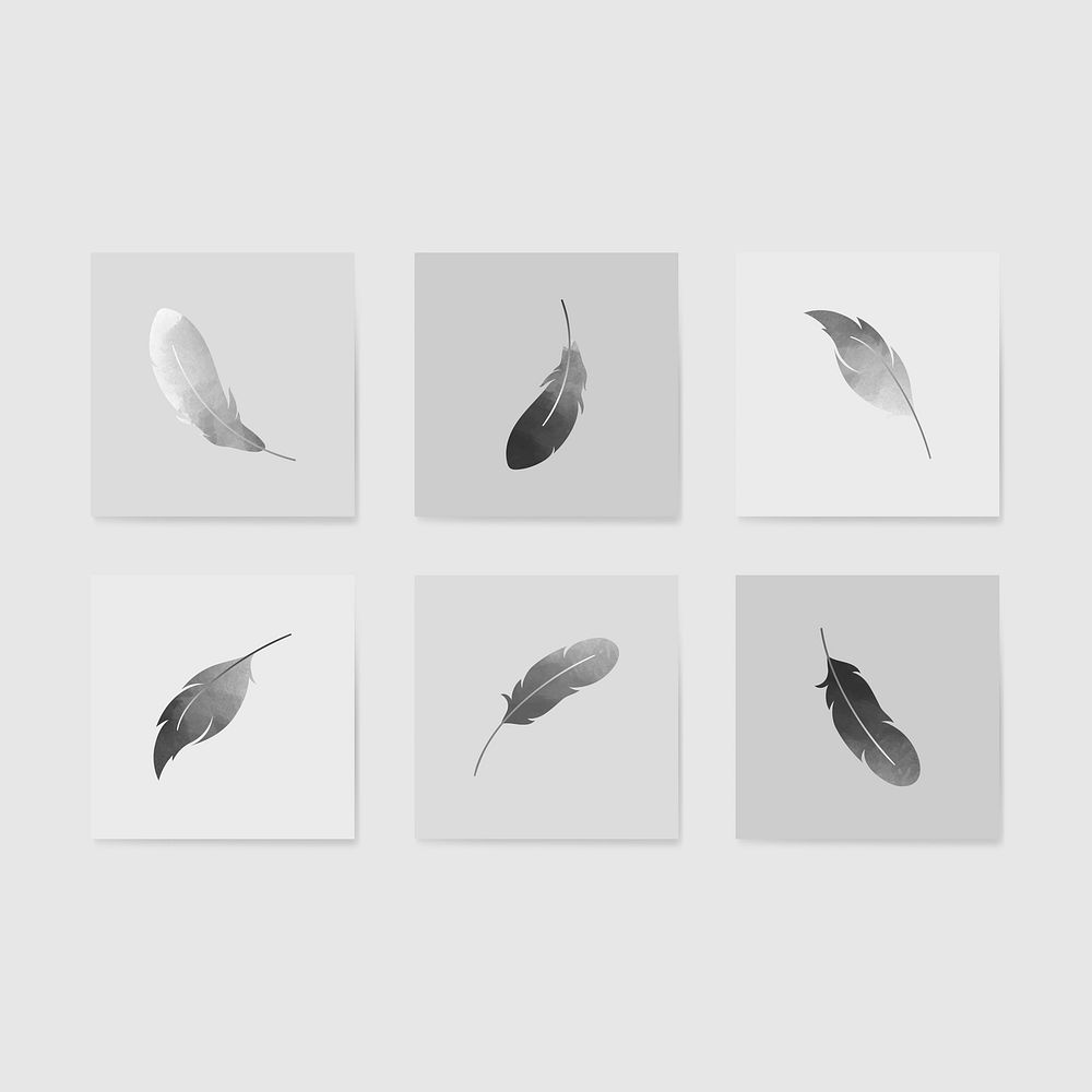 Gray lightweight feather collection vectors