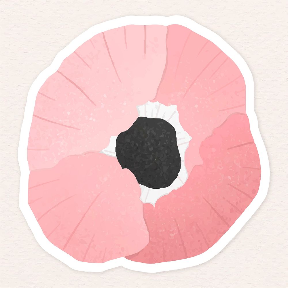 Pink poppy flower sticker illustration