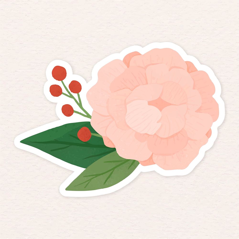 Peach Hydrangea flower with leaves sticker illustration