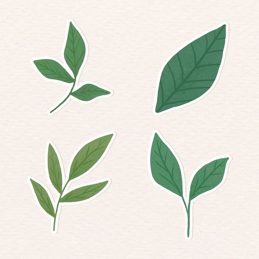 Green leaves sticker collection vector