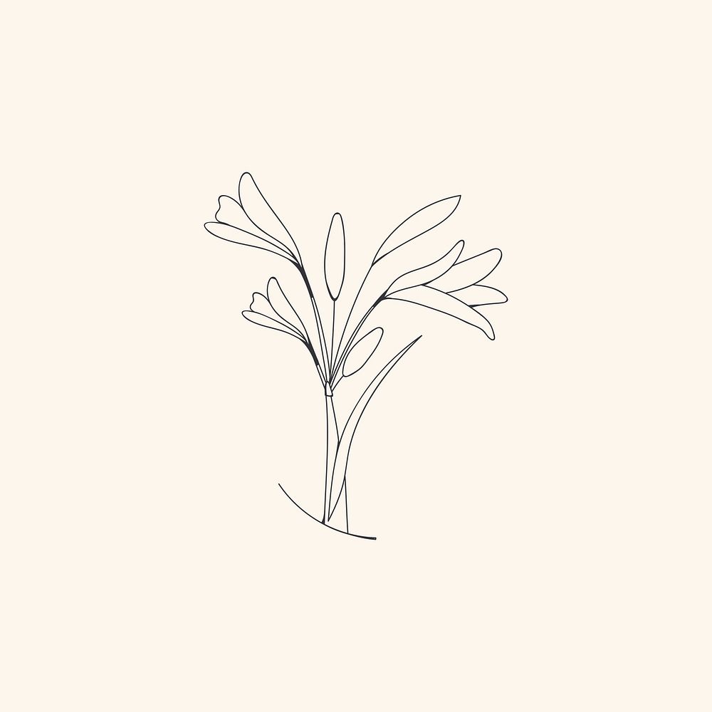 Hand drawn flower element vector