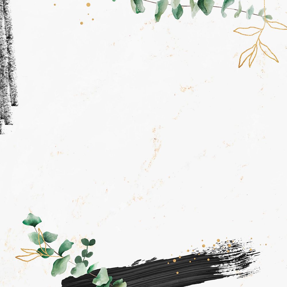 Eucalyptus leaf pattern on white background vector