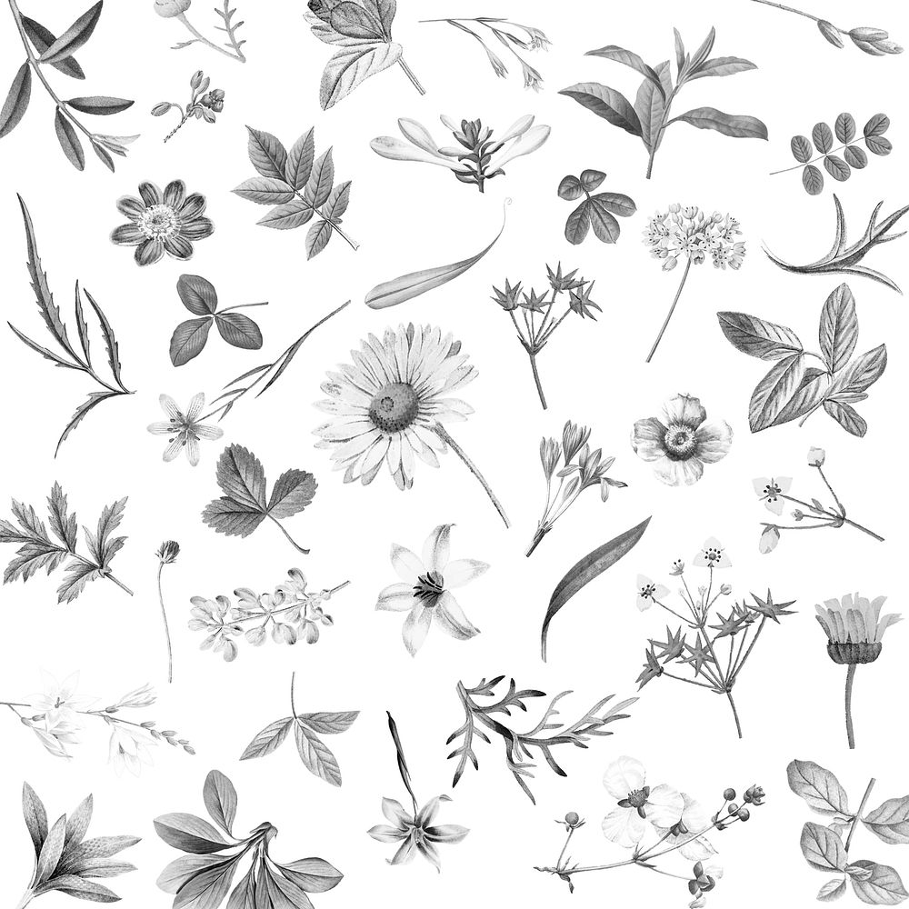 White floral wallpaper design vector