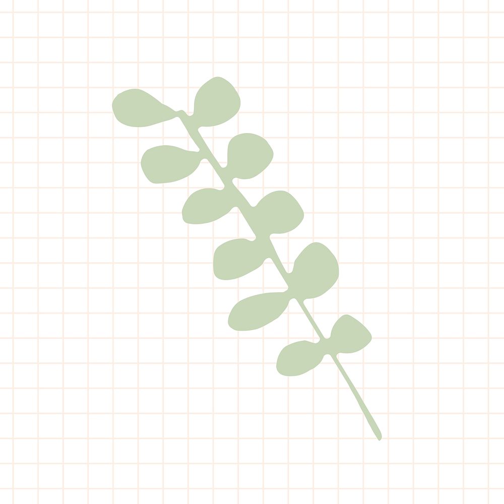 Green eucalyptus branch element illustration