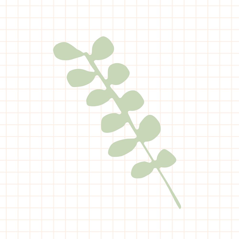 Green eucalyptus branch element illustration