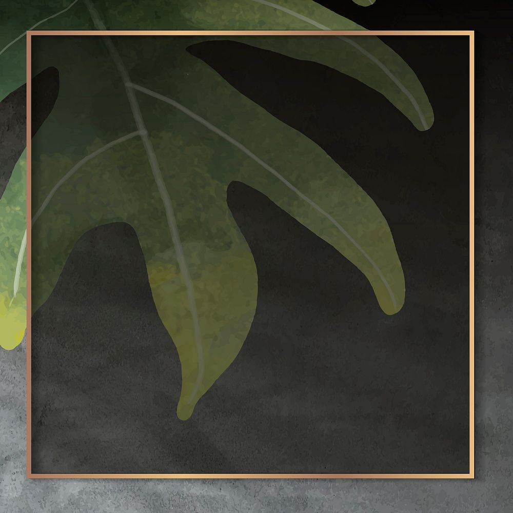 Gold frame with philodendron radiatum leaf pattern on grunge black background vector
