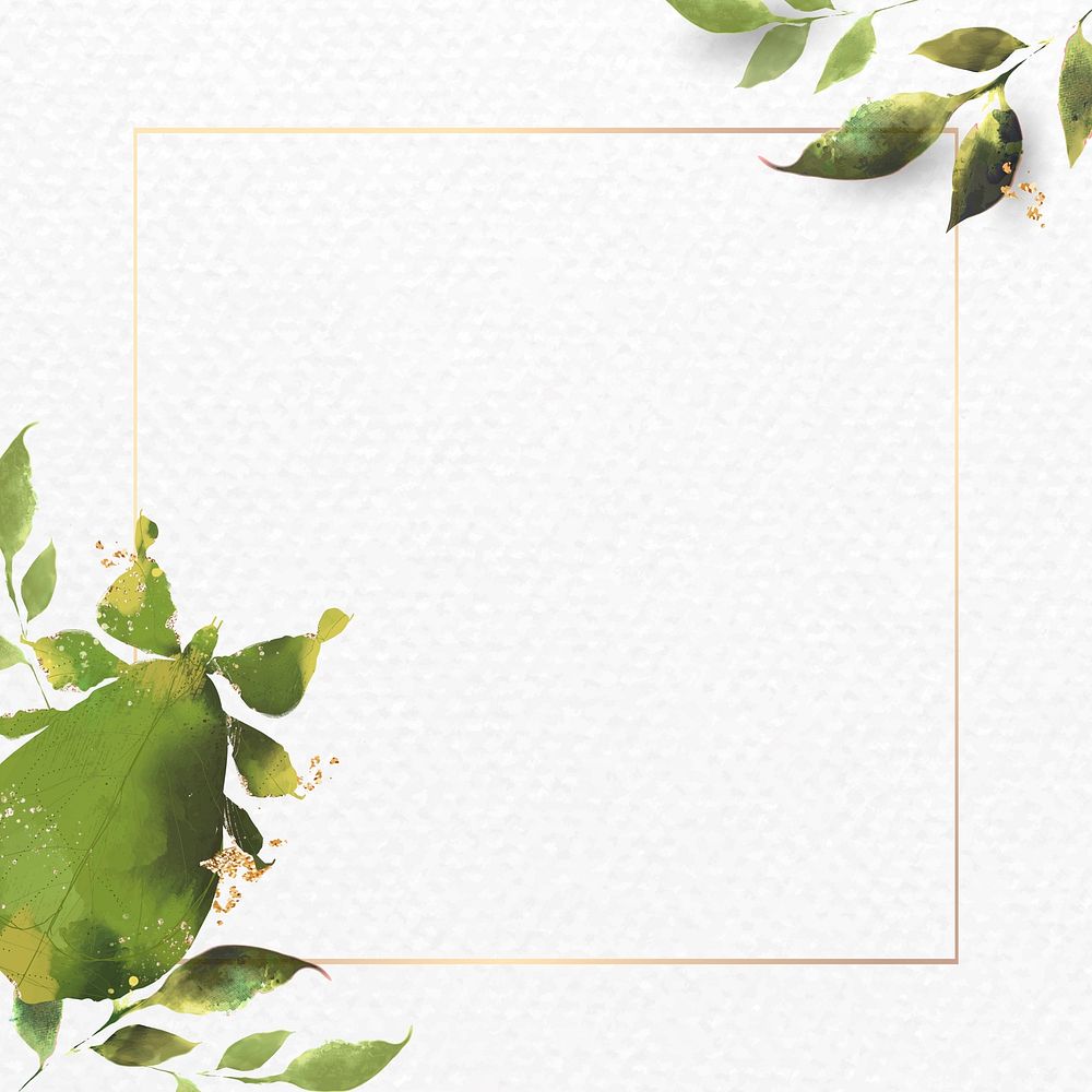 Leaf Insect watercolor frame vector