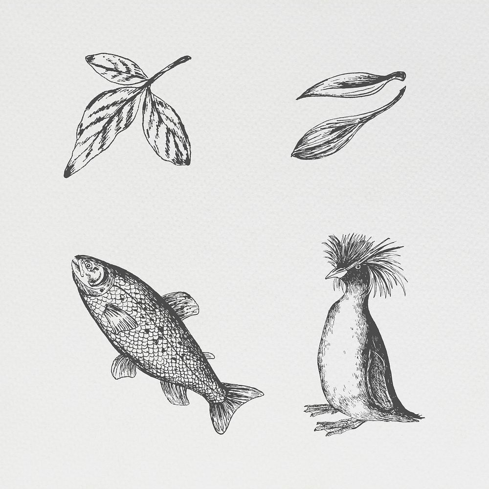 Hand drawn animal and plant set illustration