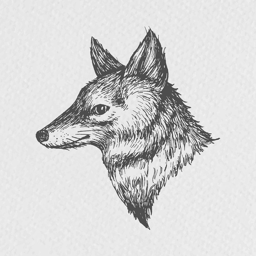 Vintage furry fox sketch in grayscale  social ads template