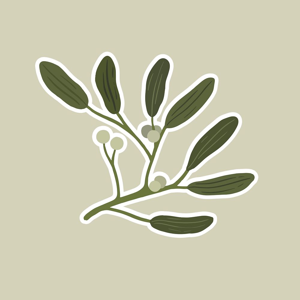 Mistletoe with berry element illustration