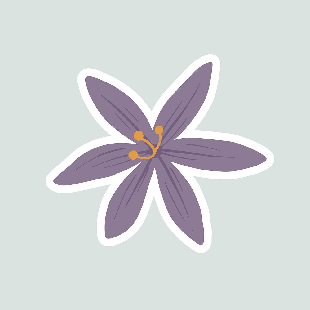 Blooming purple crocus flower vector