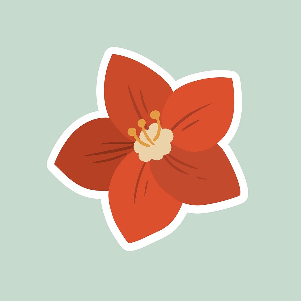 Blooming red hellebore flower illustration
