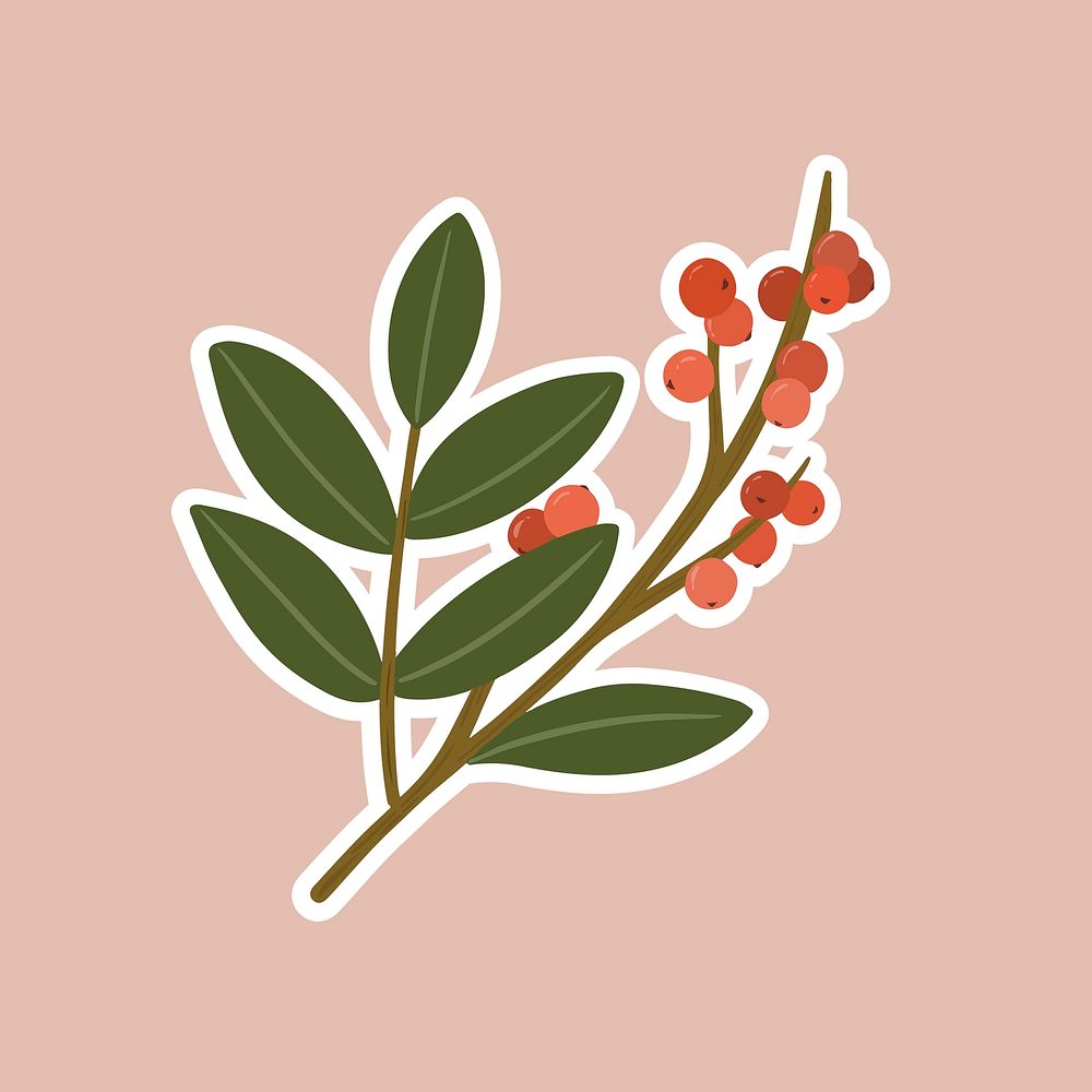Winterberry branches element illustration
