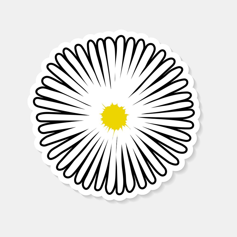 Hand drawn white common daisy flower illustration