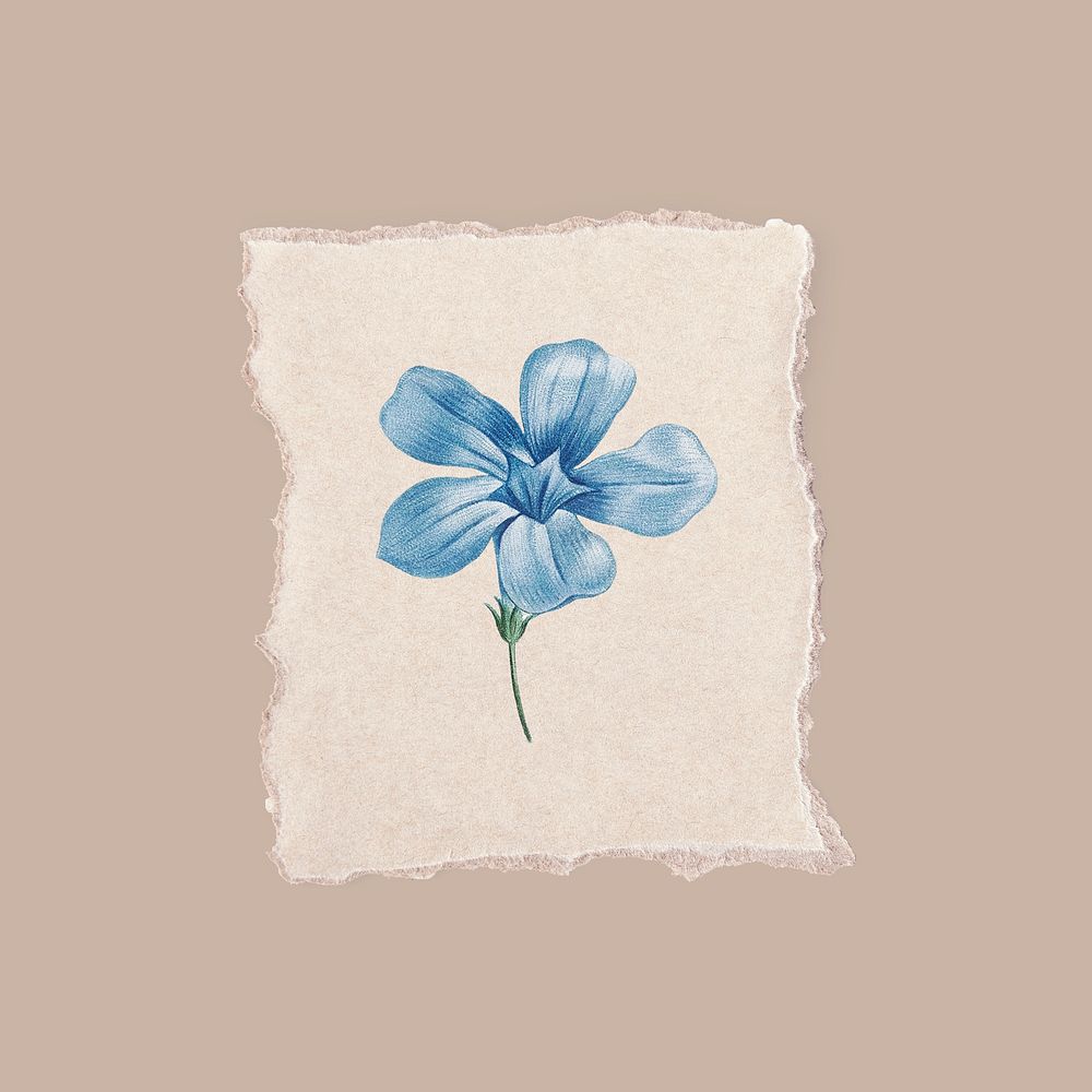 Cute hand drawn indigo blue flower illustration
